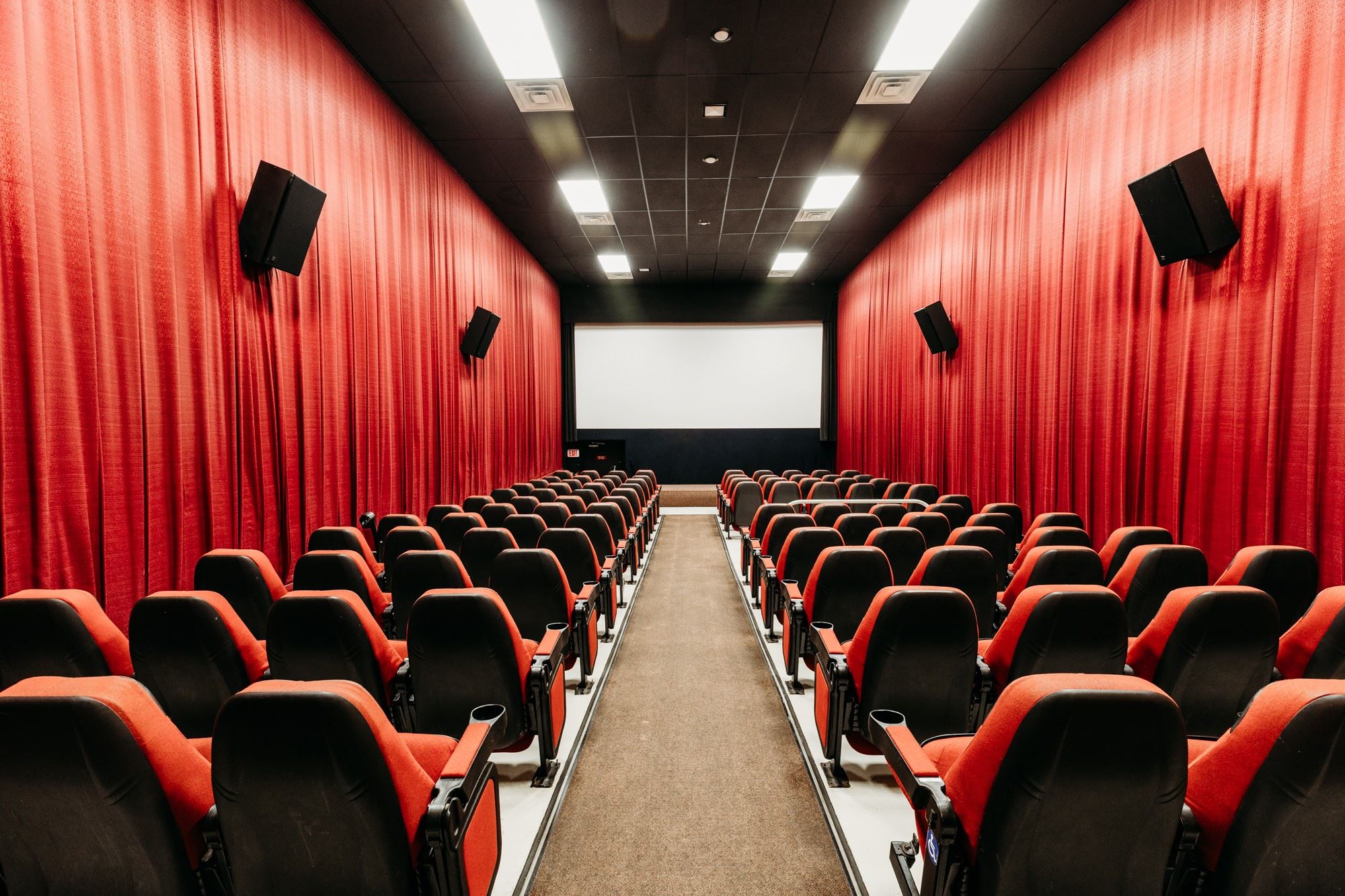 Screen Room 2 (Small Theatre) — Ionia Theatre